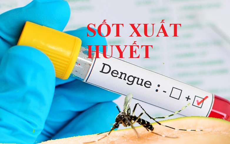 Bộ Y tế phân tuyến điều trị người bệnh sốt xuất huyết